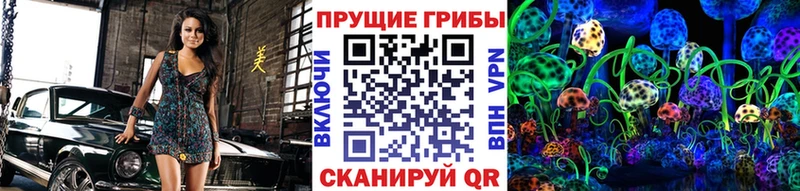 hydra как войти  Ленинск-Кузнецкий  Псилоцибиновые грибы Psilocybine cubensis 